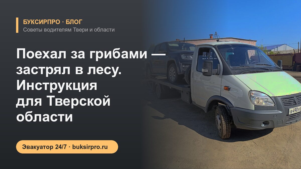 Поехал за грибами — застрял в лесу. Инструкция для Тверской области